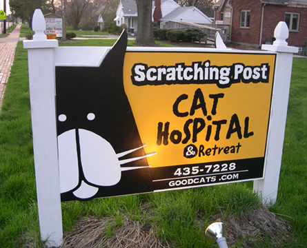 Cat Hospital sign Centerville